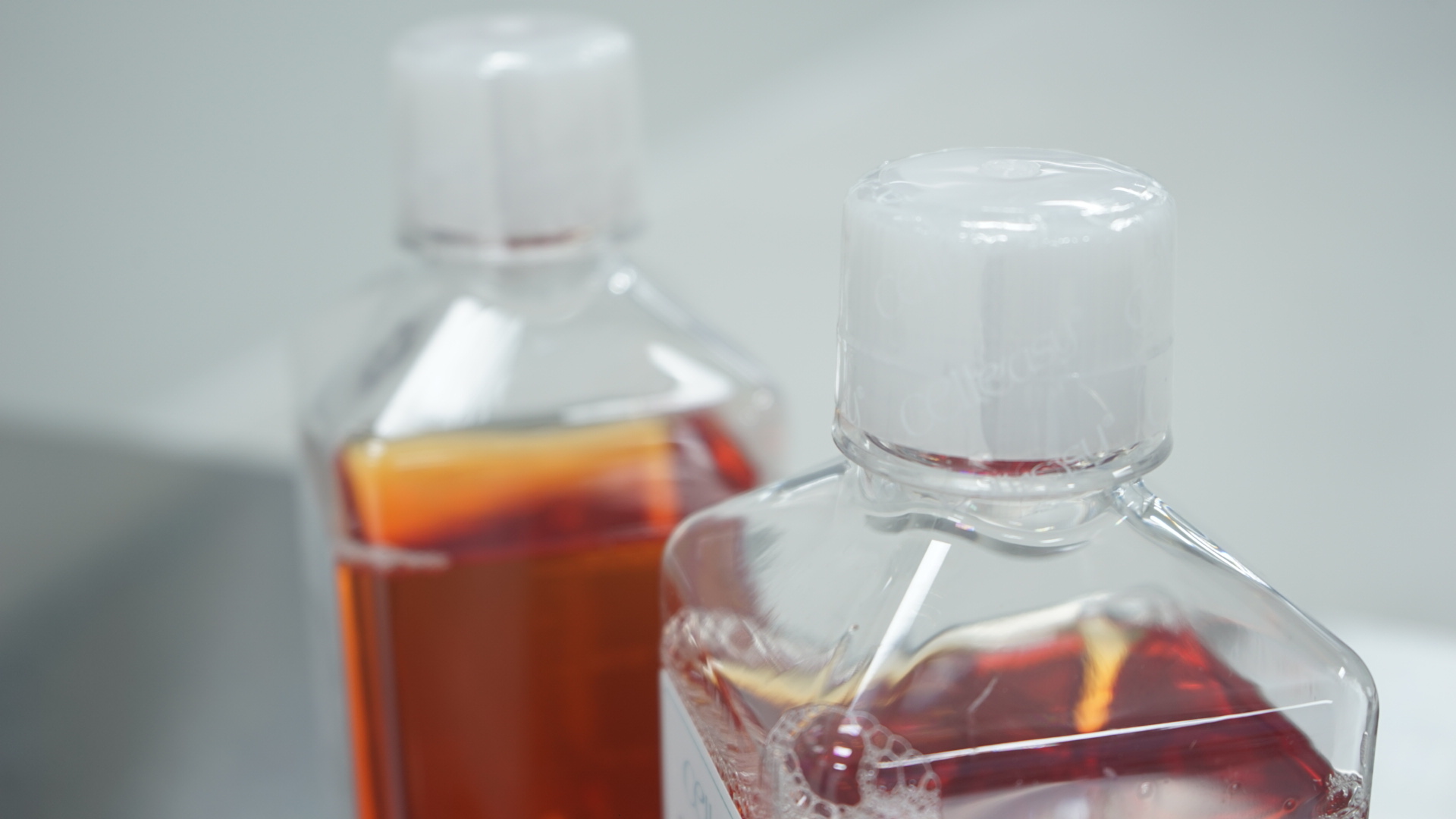 让细胞培养变得更容易！