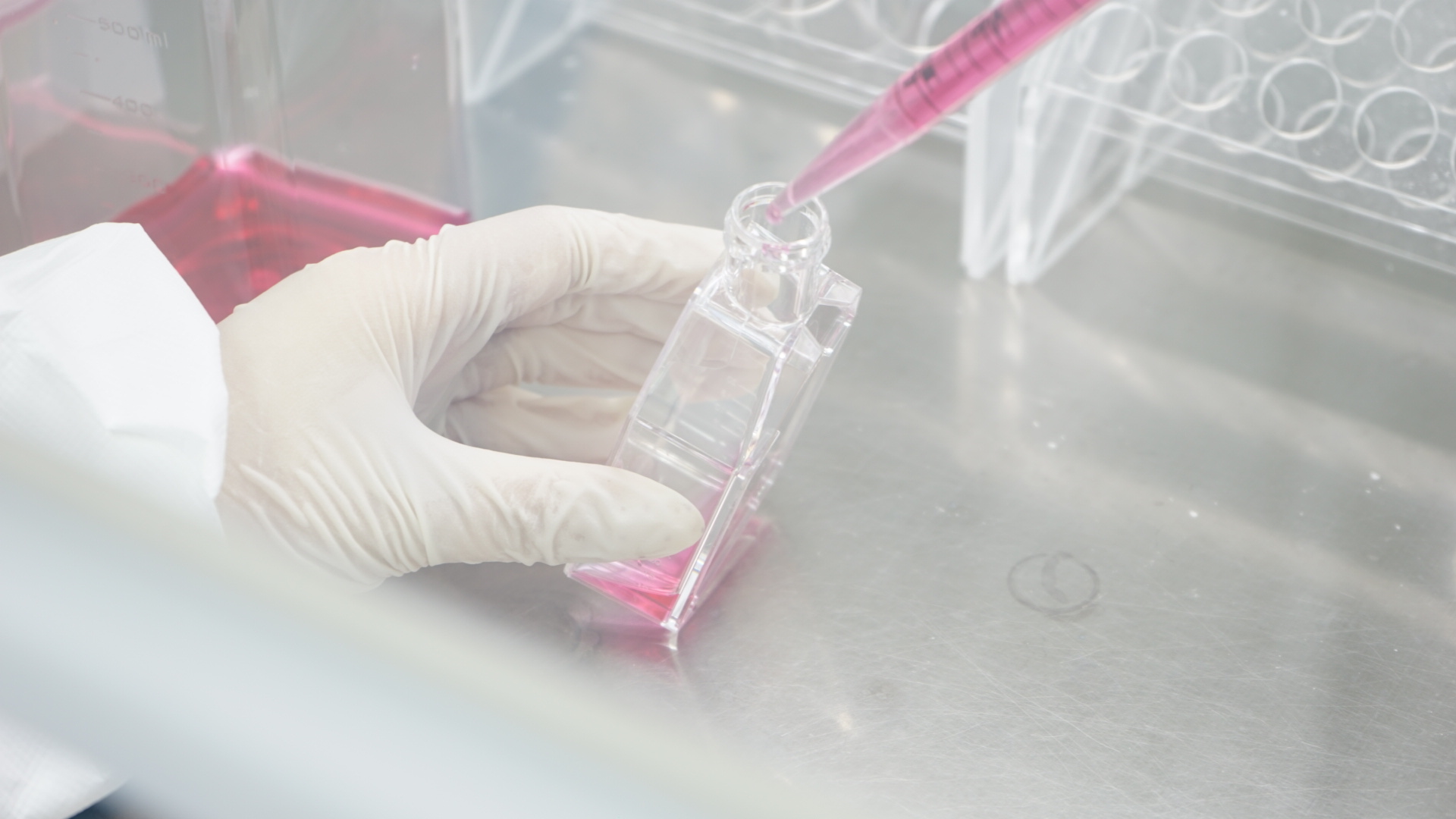 让细胞培养变得更容易！