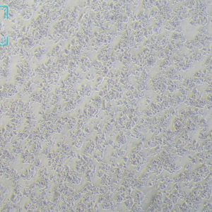 小鼠胰岛β细胞系