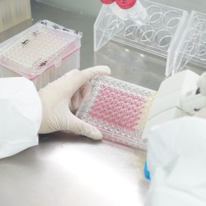 细胞培养相关产品